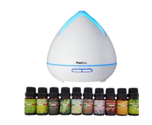 Diffuser Set With 10 Pack Diffuser Oils Humidifier Aromatherapy - White