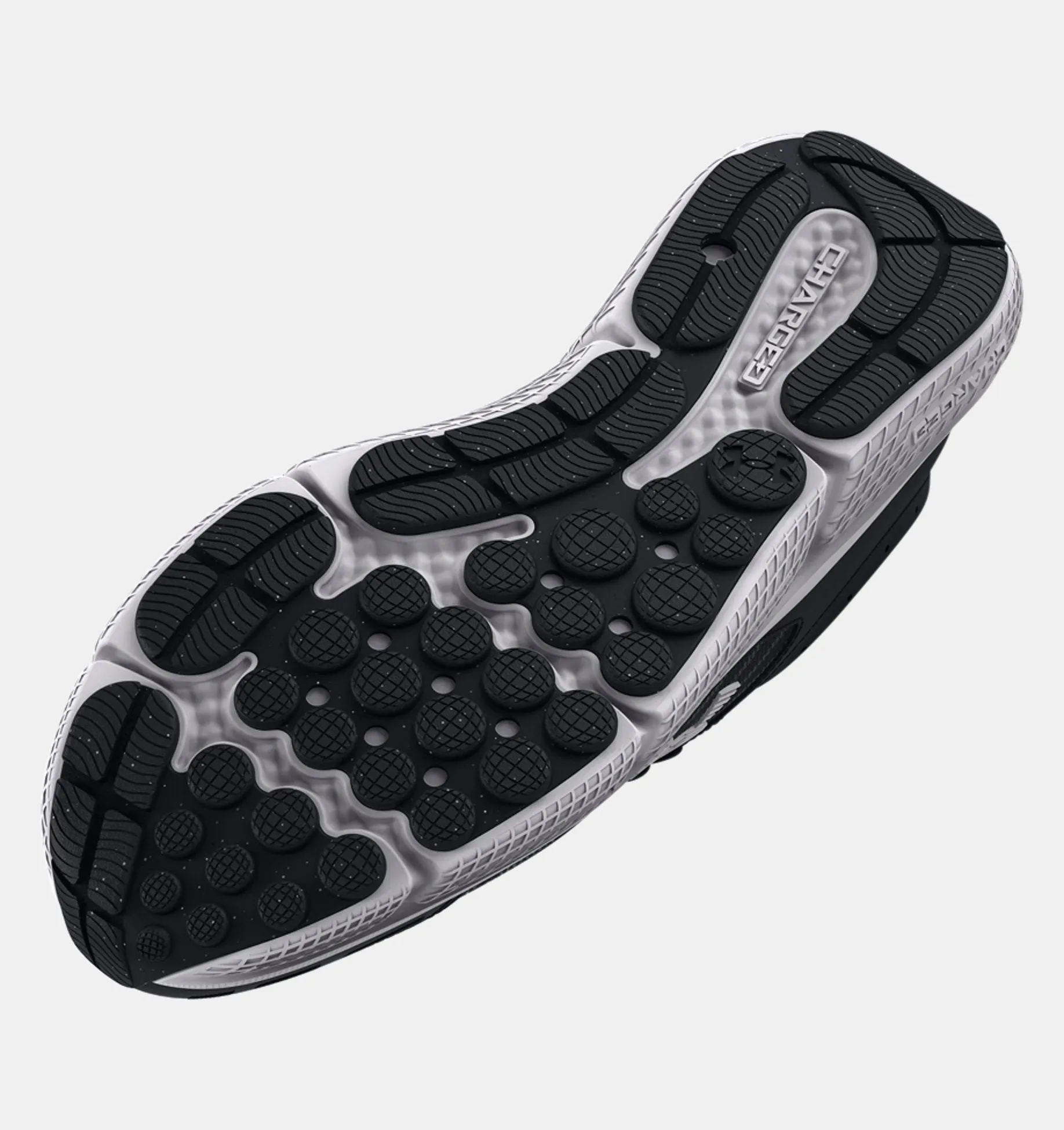 Men's Charged Assert 10 Running Shoes