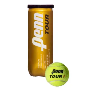 Penn World Tour Extra Duty - 3 Tennis Ball Can