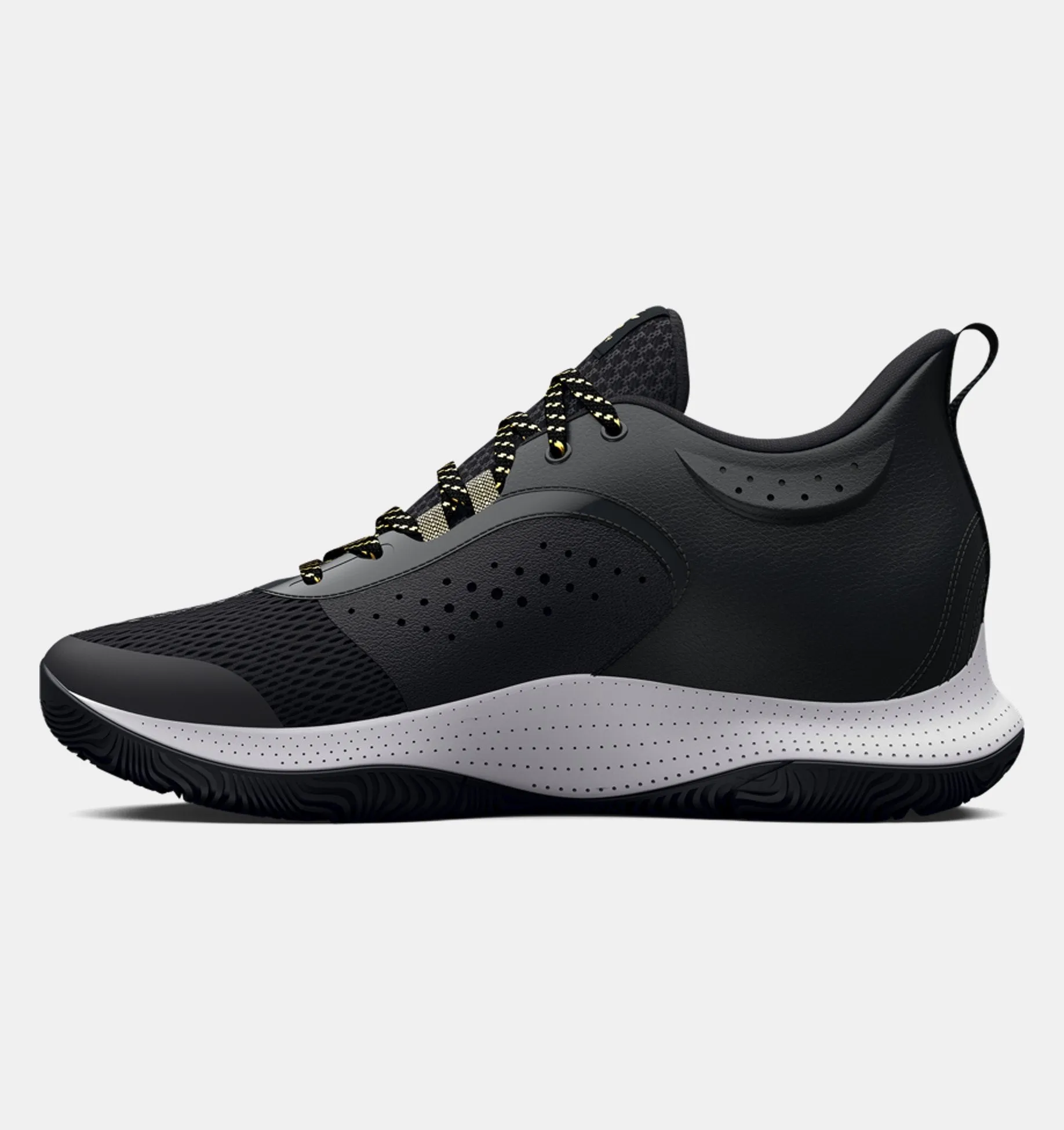 Unisex Curry 3Z6 Basketball Shoes