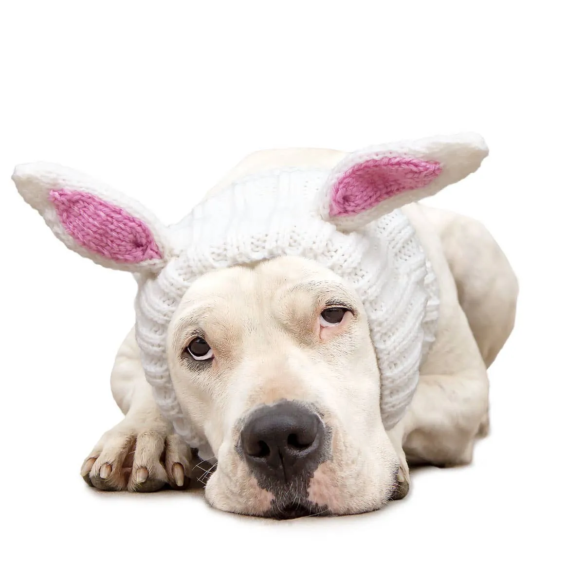 Zoo Snoods - Bunny Rabbit Zoo Snood